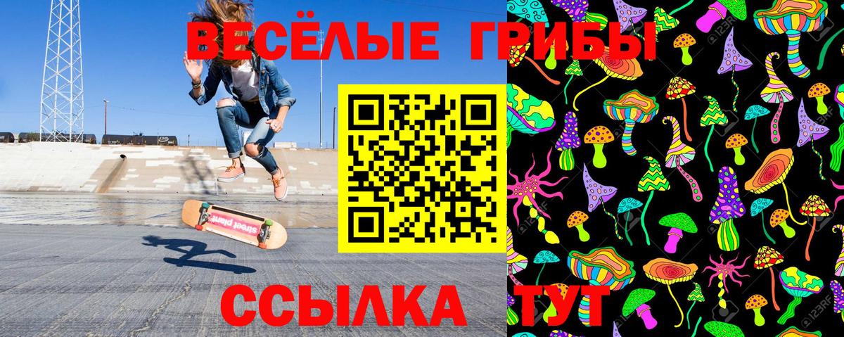 Галлюциногенные грибы Magic Shrooms Камень-на-Оби