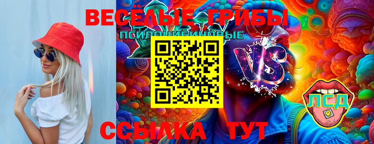 Галлюциногенные грибы Psilocybine cubensis  Вход с VPN  Камень-на-Оби 